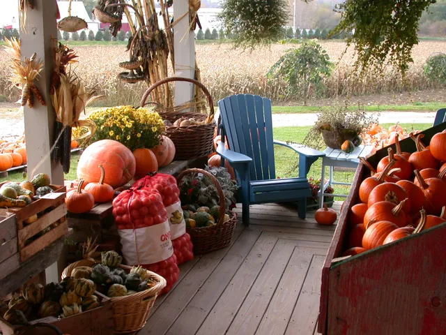 A farm stand porch with pumpkins, gourds, and baskets of produce
